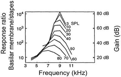 A FPGA Implementation of the CAR-FAC Cochlear Model